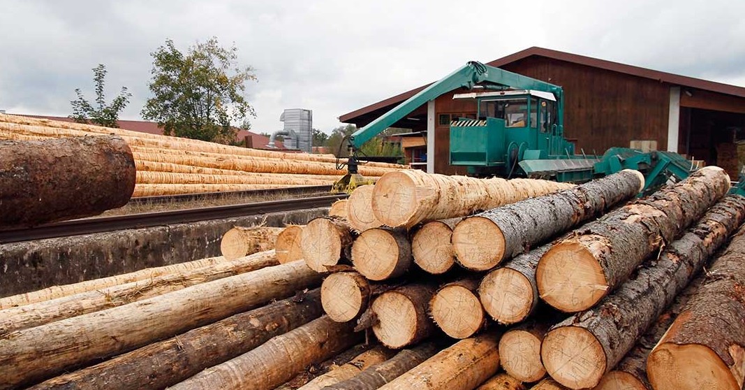 Bill to Apply Specific Tax on Forestry Sector to Be Presented