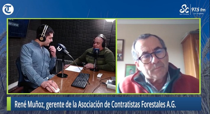 Acoforag Warns About the Decline in Hectares and Lack of Incentive Policies for Reforestation