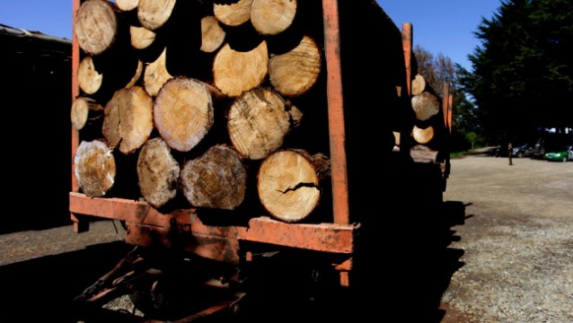 Acoforag attributes forestry crisis to violence, higher costs, and lack of long-term policies