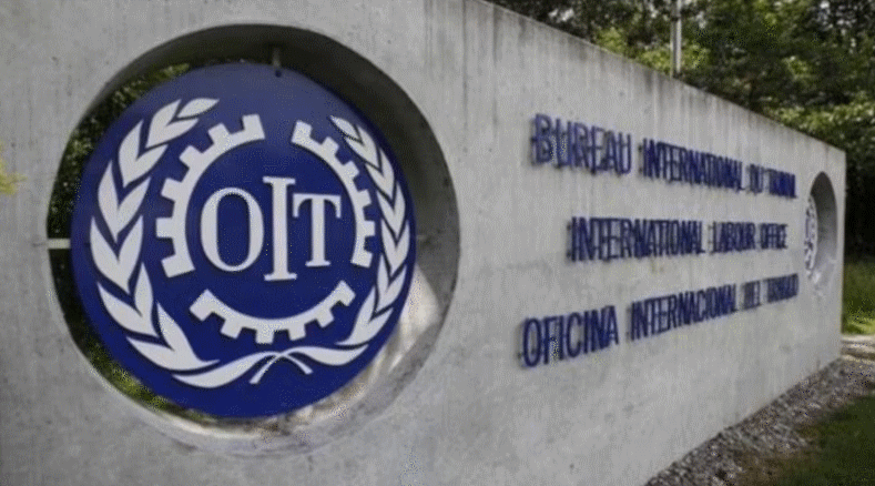 Forest Workers and Acoforag Denounce Chile's Non-Compliance with Labor Safety to the ILO