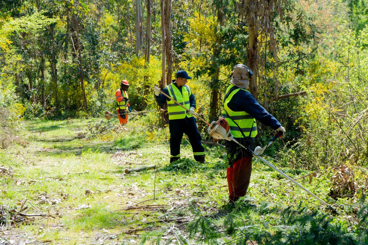 Ramón Figueroa calls for strengthening prevention ahead of the start of the wildfire season