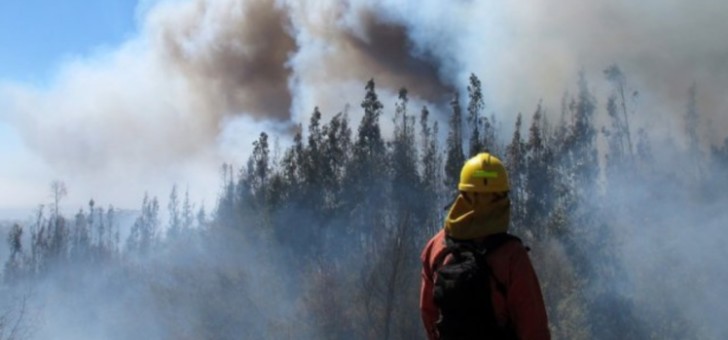 Risk Committee Established in Lumaco for "Inevitable" Forest Fires