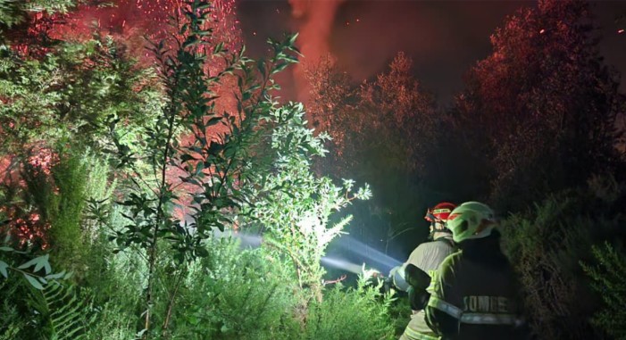 Puerto Montt presenta querella por incendio intencional en Parque Viveros de Alerce