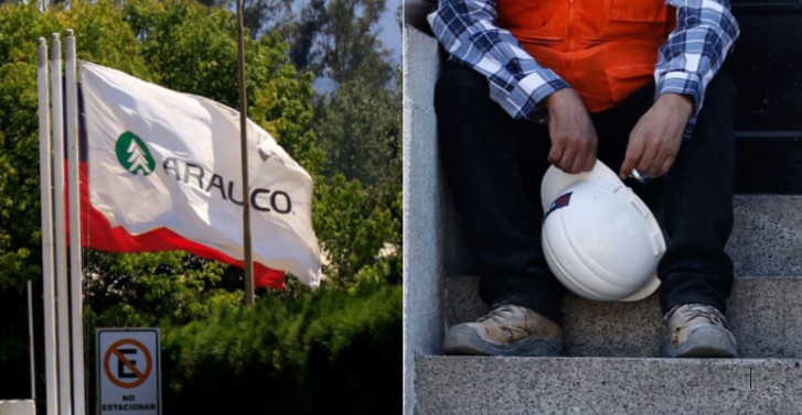 Arauco Lays Off 300 Workers Nationwide Due to Company Restructuring