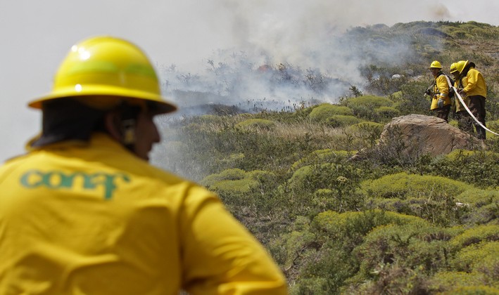 Conaf's Budget Will Remain Unchanged for Wildfire Season in Ñuble