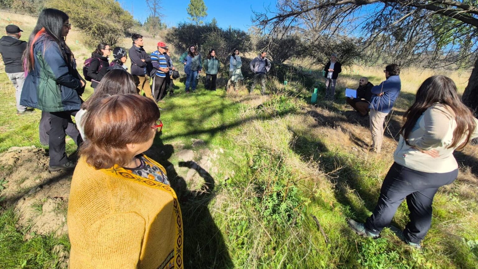 +Bosques Project Reaches 88% Progress in Ñuble