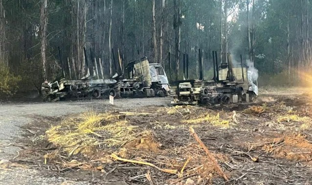 New wave of violence in Araucanía leaves vehicles burned in Freire