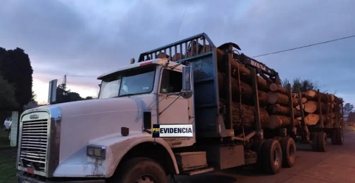 Truck with 45 million in stolen wood seized in police operation in Pitrufquén