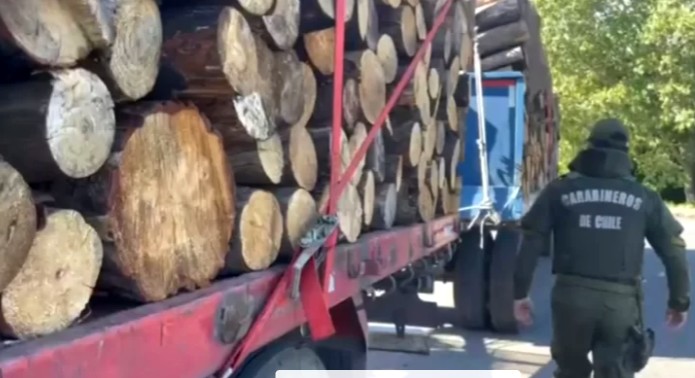 Acoforag Questions Halt of Inspections on Timber Trucks in La Araucanía and Urges Maintaining Pressure Against Crime