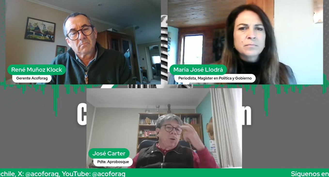 Second-Growth Forests: A Strategic Opportunity for Sustainable Forestry Development in Chile