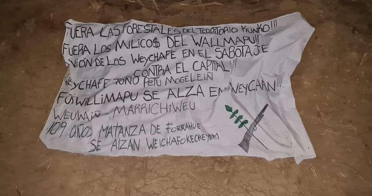 "Hechos aislados" y "falta de control": diferencias por ataques incendiarios en región de Los Lagos