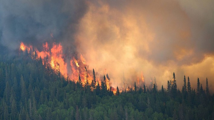 Wildfires in Canada: A Climate Crisis Matches India's CO2 Emissions