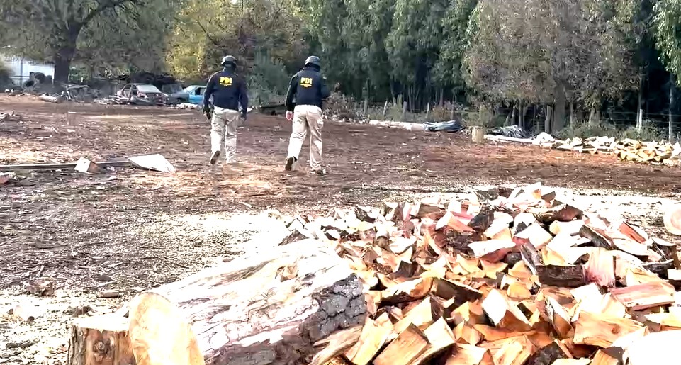 Histórico operativo desarticula red de robo de madera en Ñuble: 17 detenidos y bienes incautados por más de $3.000 millones