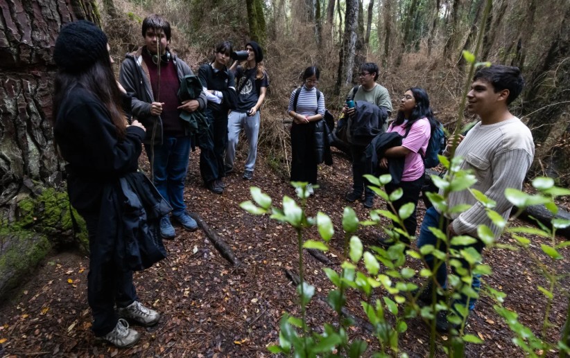 Del bienestar a la evidencia científica:  especialistas buscan ahondar en la relación entre bosques y salud
