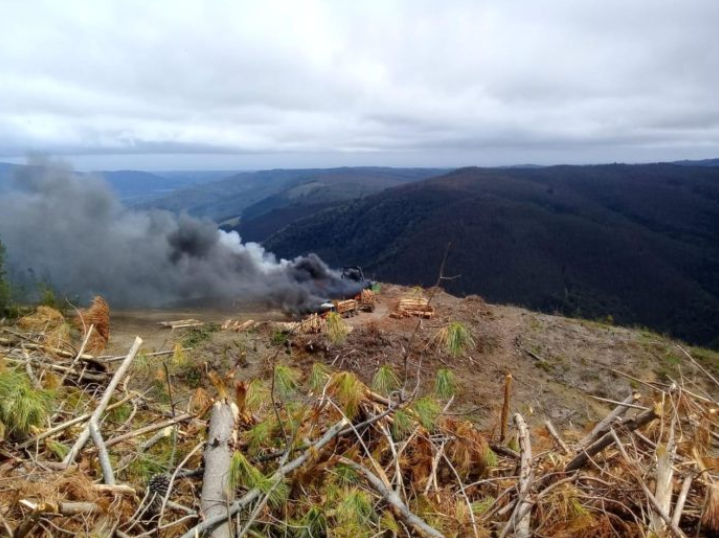 Ataques, incendios y robos: Las cifras de atentados y lo que se espera para 2023