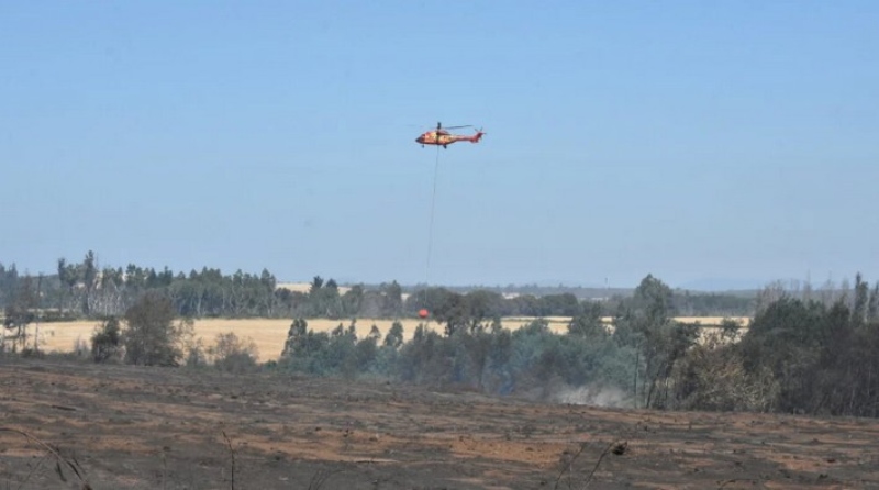 Area Affected by Forest Fires in Biobío Province Increased by 30%