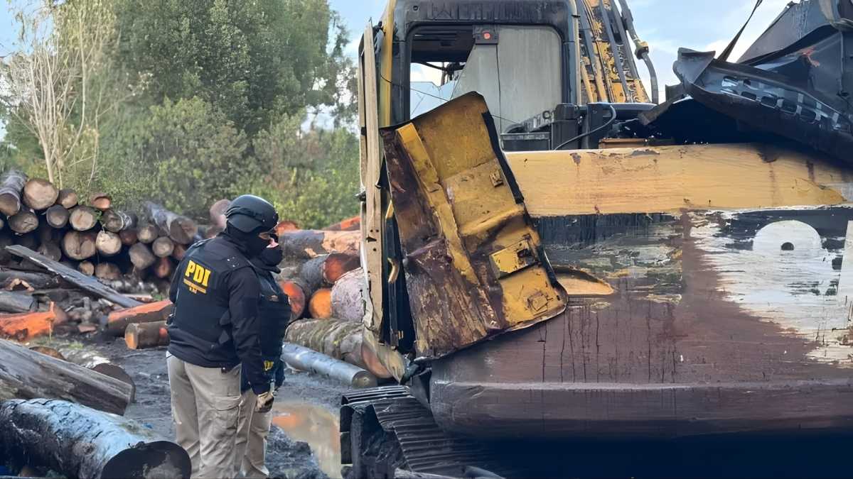 Rechazan prisión preventiva para más de 20 comuneros imputados por presunto robo de madera en Chonchi