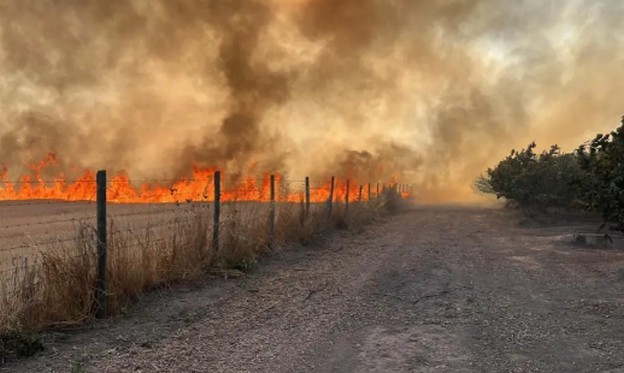 Organizaciones exigen aprobar Ley de Prevención de Incendios Forestales tras catástrofe