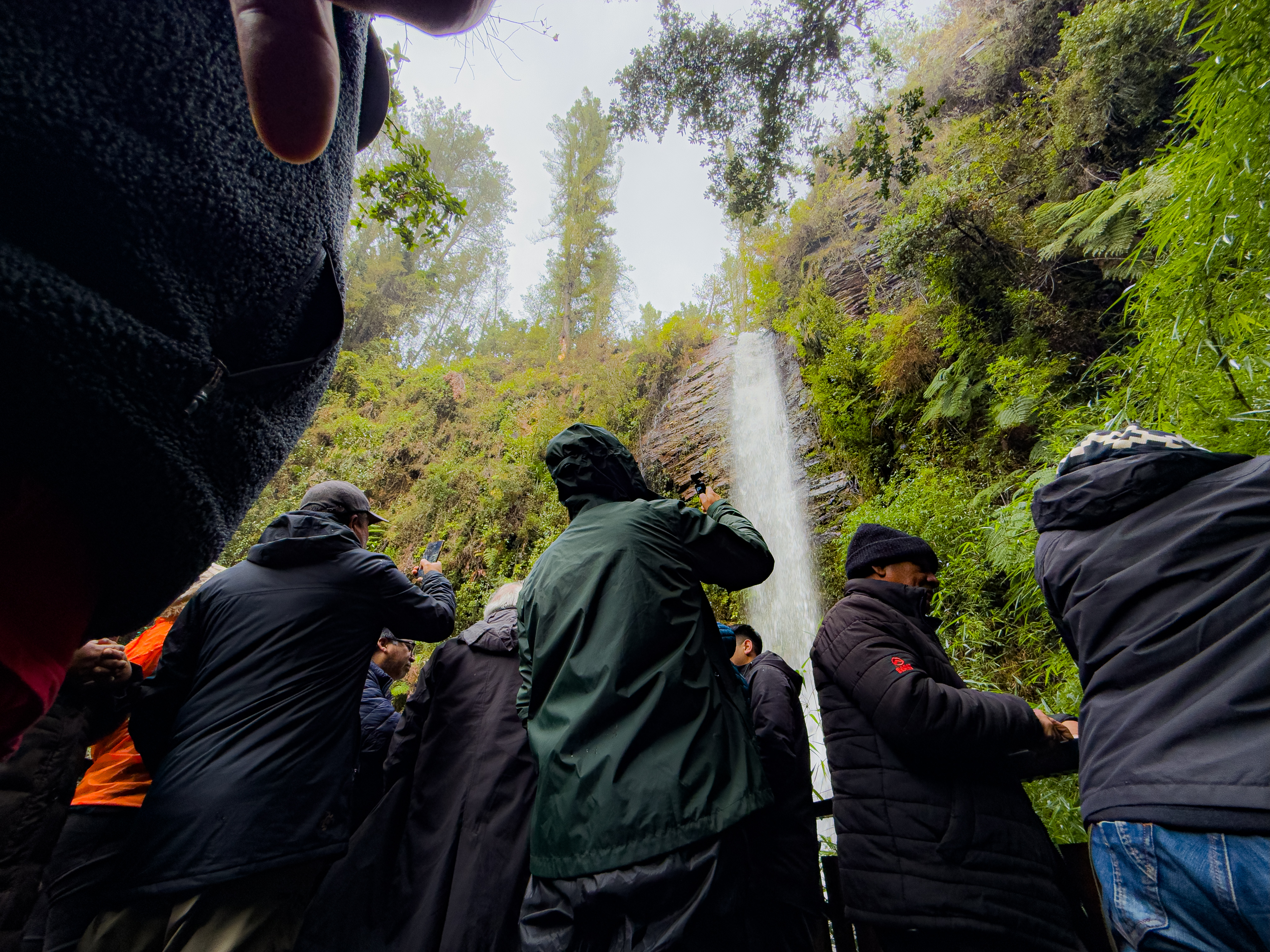 A waterfall that expands the value of forest heritage