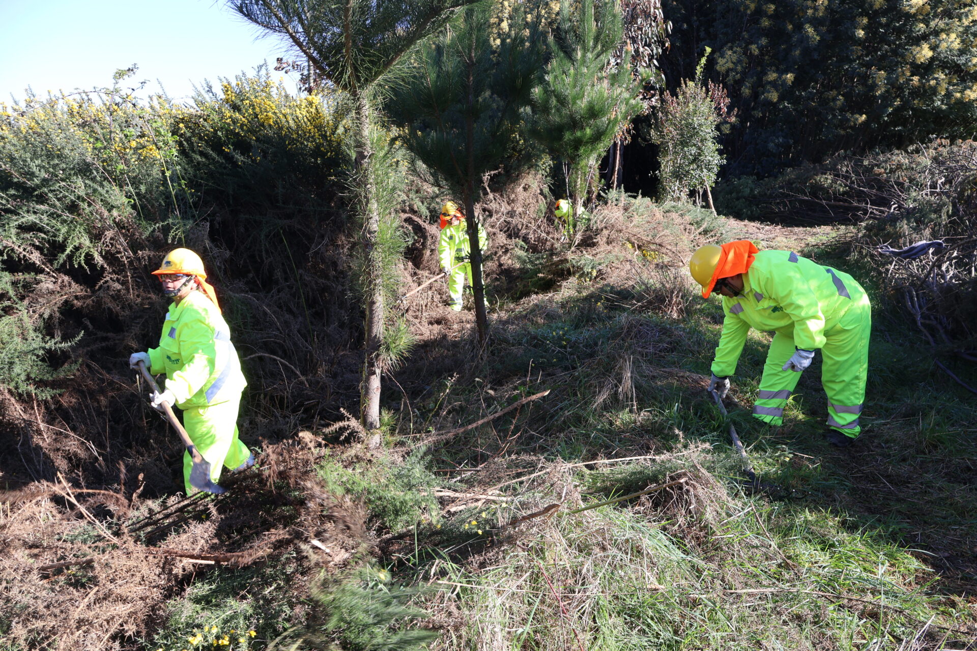 Desemprego no Biobío chega a 10,7% e aumenta a informalidade laboral
