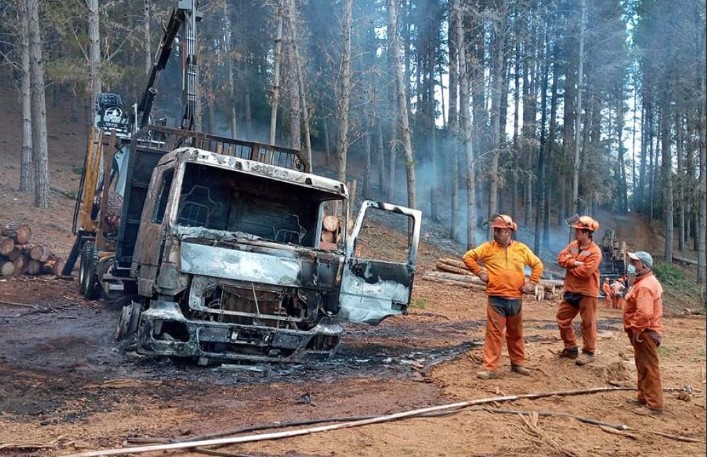 Forestry Contractors Question Chile's Reforestation Strategy