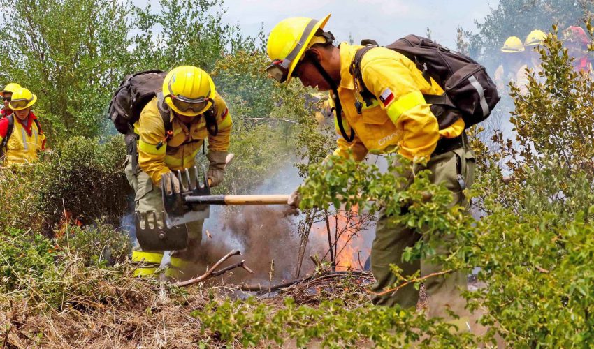AI, Black Hawks and night brigades: how Biobío is preparing for the next fire season