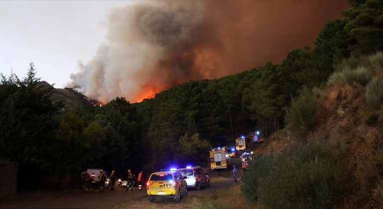 The sentence for causing a forest fire can reach up to 20 years in prison