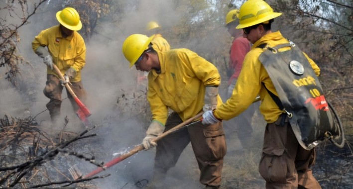 CONAF Workers Begin Indefinite Nationwide Mobilization