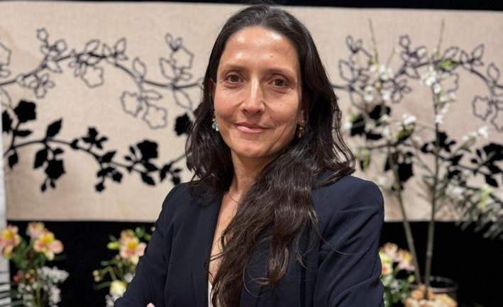 Construcción adecuada: la oportunidad está en la madera