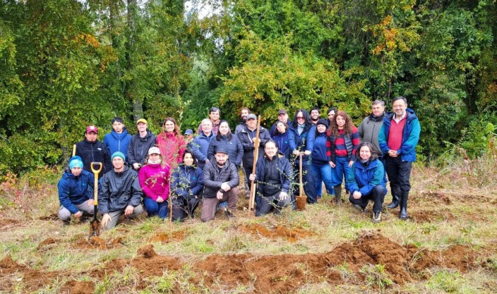 Programa Nothofagus impulsa restauración forestal con especies nativas en la Región de Los Ríos