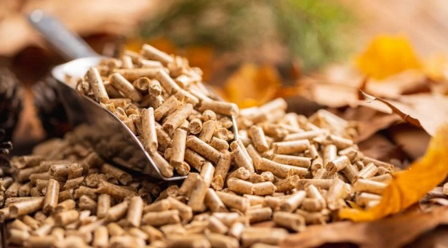 Biobío Leads Pellet Production in Chile: Producers Ensure Availability for 2025 Season