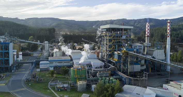 Matte and Angelini Groups Shift Investments to Brazil as Timber Industry Accuses Local Crisis