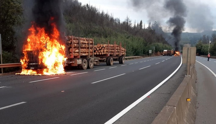 Tension Persists in La Araucanía: Radical Groups Remain Active