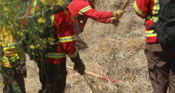 Three CMPC Firefighters Die in Los Sauces Wildfire: Blaze Has Already Consumed 400 Hectares