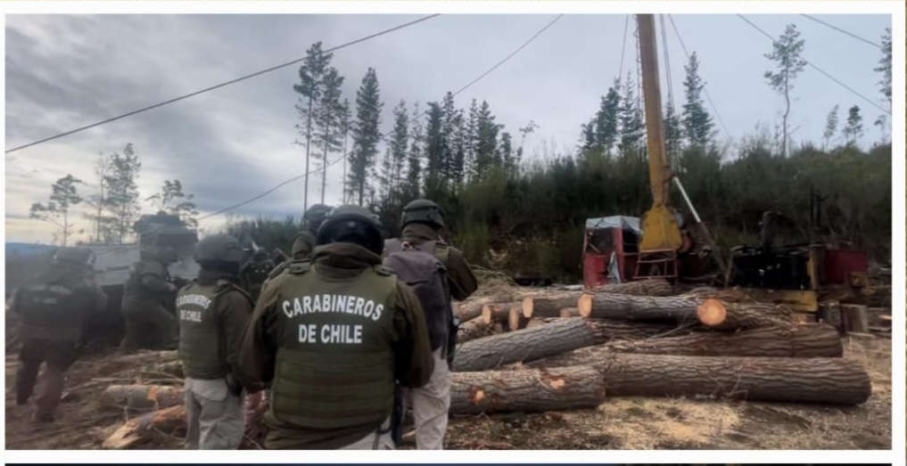 Masivo operativo en Cañete logra incautar millonaria maquinaria a banda criminal