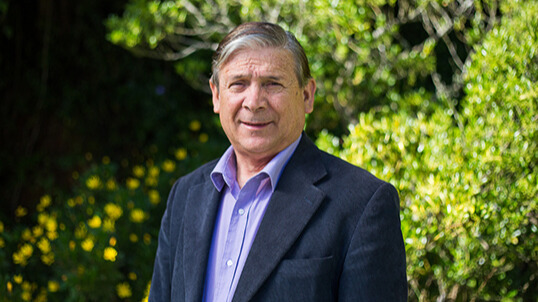 Pellets from residual biomass of native species