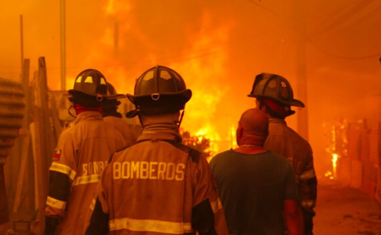 Association of Forestry Engineers Calls for Action Amid Rising Intentional Wildfires