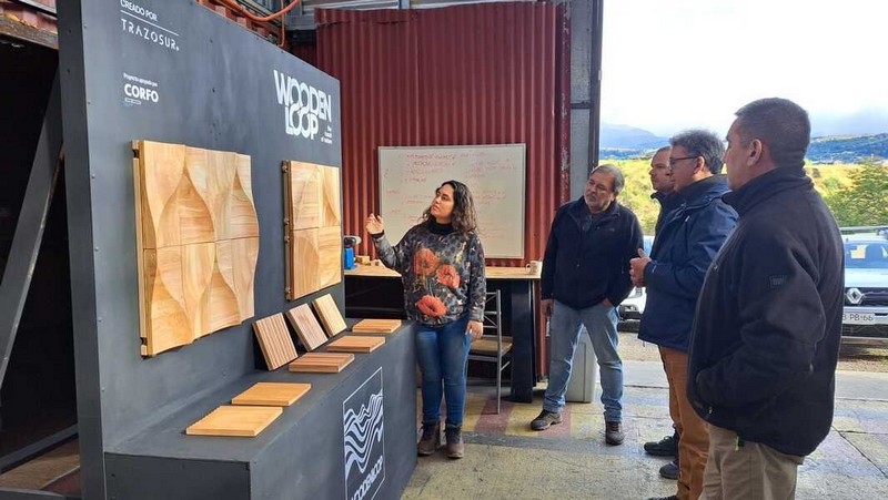Aysén Architect Leads Innovative Project Giving New Value to Residual Native Wood