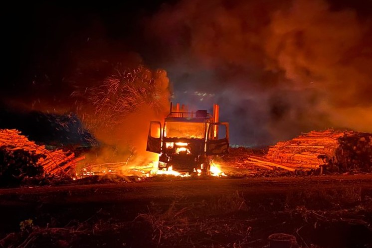 Macrozona Sur: Gremio pide que el Estado provea de seguro a contratistas forestales