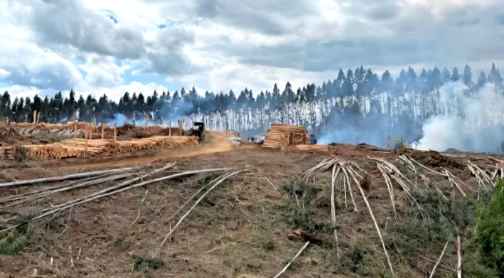 Police and Armed Forces "Limited in Their Actions," Unions Warn After Attacks in La Araucanía