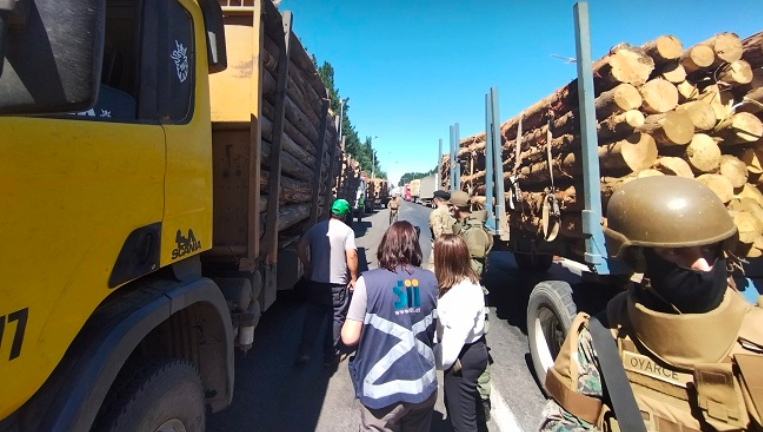 Contratistas forestales solicitaron aplicar “todas las penas” a empresas que habrían comprado madera robada de predios en toma