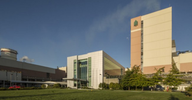 Mariquina: Government Denies Arauco Company's Maritime Concession Request to Install Sea Pipeline