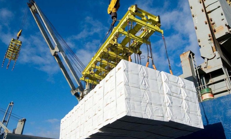 Ñuble's Forestry Exports Accumulate 40.5% Increase Between January and April