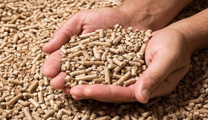 La Unión boosts the pellet industry with new plant that will contribute nearly 22% of national production