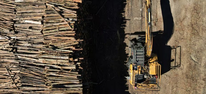 Forestry sector proposals for the promotion law the government is working on for the industry