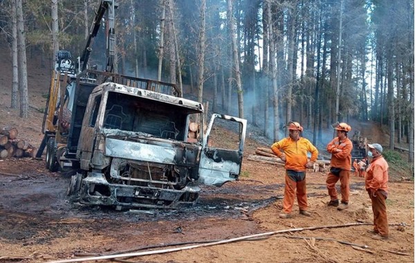 Reduction in Attacks in the Southern Macrozone: Forestry Guild Warns of Abnormal Normalcy