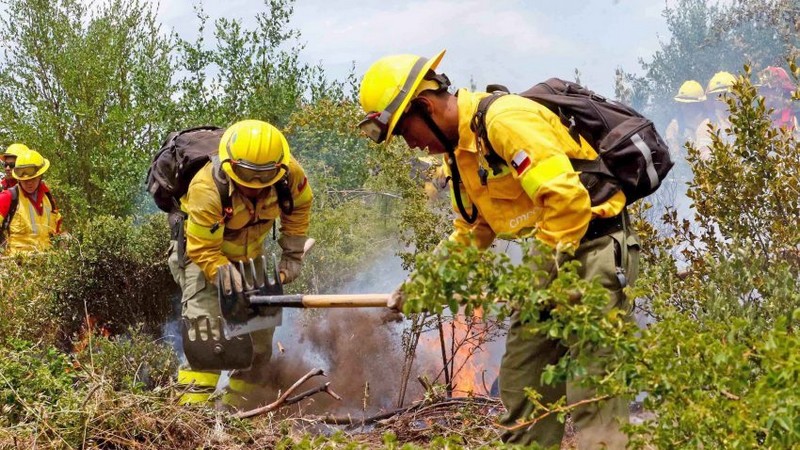 Increased Oversight and Protection of Natural Resources: The Scope of the New Forestry Institution in Biobío