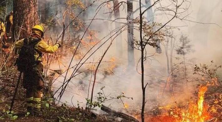 197 nuevos brigadistas tendrá la Conaf para esta temporada de incendios