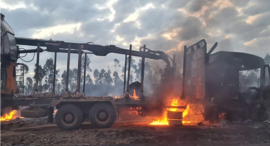 Impacto económico en el sector agricola por robos en zonas rurales se eleva a US$ 530 millones