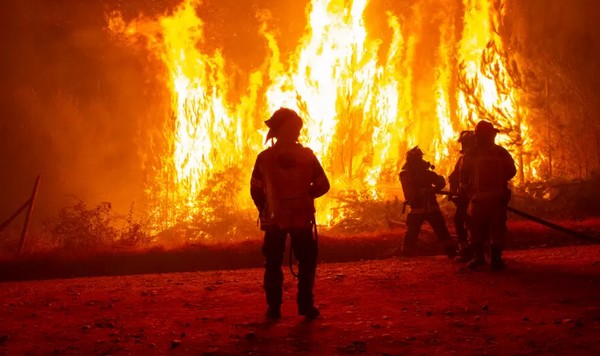 Director of Conaf Warns of "Very Complex Conditions" Regarding Wildfires